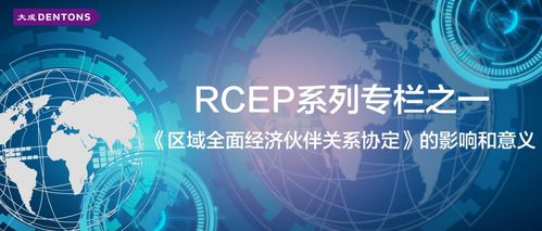 區(qū)域全面經(jīng)濟伙伴關(guān)系協(xié)定（RCEP）的影響與意義——聚焦數(shù)字技術(shù)服務(wù)