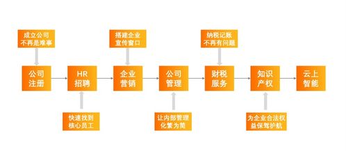 科技普惠新篇章 阿里云以數字技術服務驅動中小企業數字化轉型